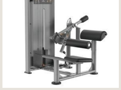 Hip Thrust